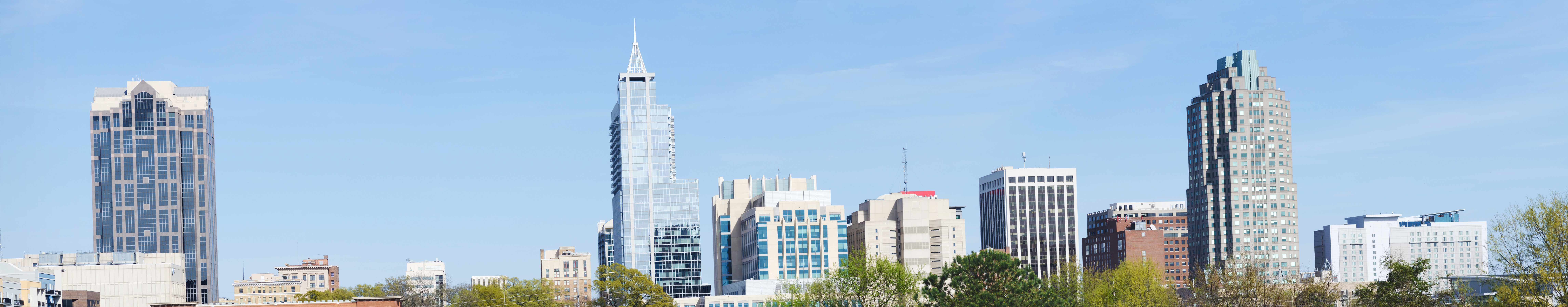 Panoramic view of the skyline of Raleigh, North Carolina.